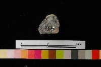 陶蓋藏品圖，第3張