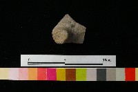 陶蓋藏品圖，第2張