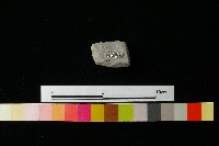 陶蓋藏品圖，第3張