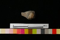 陶蓋藏品圖，第2張