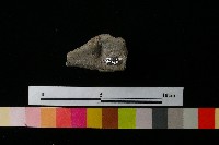 陶蓋藏品圖，第3張