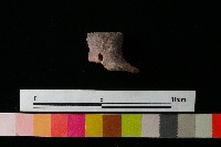 陶蓋藏品圖，第2張