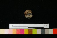 陶鈕藏品圖，第3張