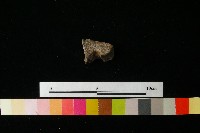 陶鈕藏品圖，第2張