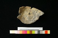 陶蓋藏品圖，第2張