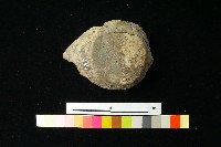 陶蓋藏品圖，第1張