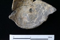 陶蓋藏品圖，第3張