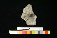 陶蓋藏品圖，第2張