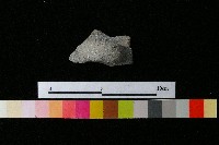 陶蓋藏品圖，第3張