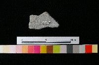 陶蓋藏品圖，第1張