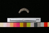 陶把藏品圖，第1張