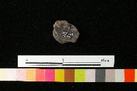 陶鈕藏品圖，第1張