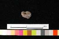 陶鈕藏品圖，第3張