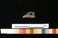 陶鈕藏品圖，第1張