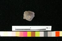 陶鈕藏品圖，第2張