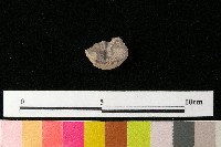 紡輪藏品圖，第4張