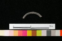 陶環藏品圖，第1張