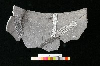 陶罐藏品圖，第3張