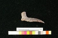 陶蓋藏品圖，第2張