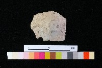 陶蓋藏品圖，第3張