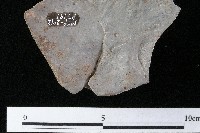 陶蓋藏品圖，第4張