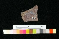 陶蓋藏品圖，第3張