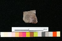 陶蓋藏品圖，第3張