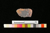 陶蓋藏品圖，第2張