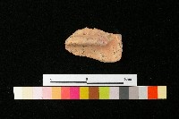 陶蓋藏品圖，第1張