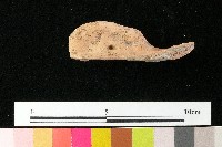 陶蓋藏品圖，第4張