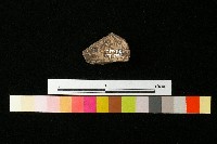 陶蓋藏品圖，第2張