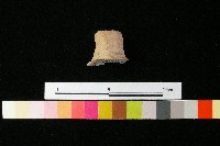 陶蓋藏品圖，第3張