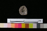 陶蓋藏品圖，第2張