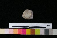 陶蓋藏品圖，第3張