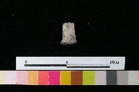 陶鈕藏品圖，第2張