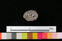 陶蓋藏品圖，第2張