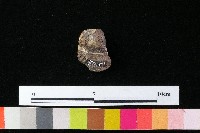 陶蓋藏品圖，第1張