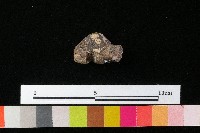 陶蓋藏品圖，第2張