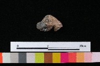 陶蓋藏品圖，第3張