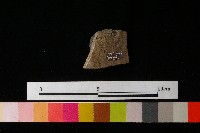 陶鈕藏品圖，第2張