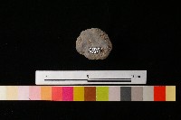 陶蓋藏品圖，第2張