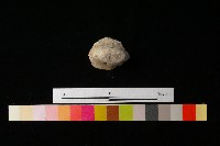 陶蓋藏品圖，第4張