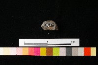 陶鈕藏品圖，第2張