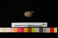 陶鈕藏品圖，第4張