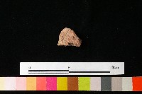 陶鈕藏品圖，第2張