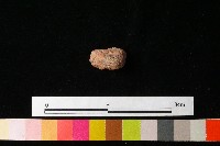 陶鈕藏品圖，第3張