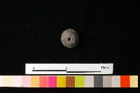 紡輪藏品圖，第3張