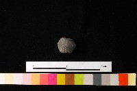 紡輪藏品圖，第4張