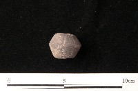 紡輪藏品圖，第5張