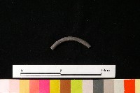 陶環藏品圖，第2張